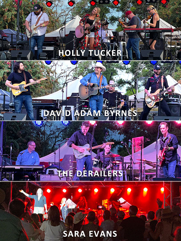 Photo collage of Beer By The Bay performers on Saturday