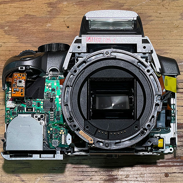 Photo - Disassembled Canon Digital Rebel XT