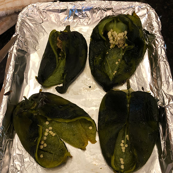 Photo - Poblano peppers