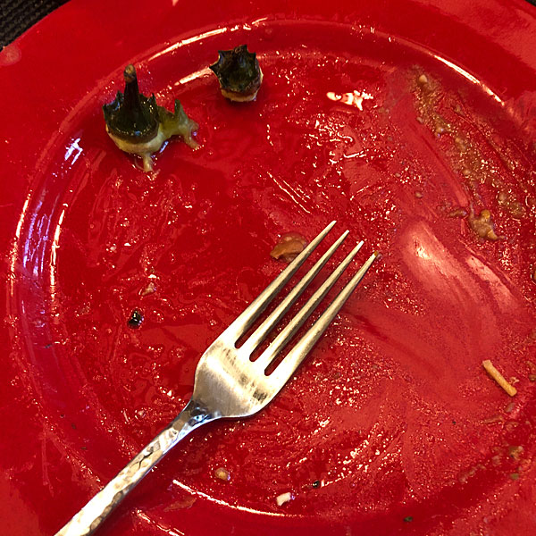 Photo - Empty plate