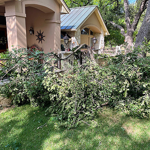 Photo - Downed limb resting on our courtyard gate