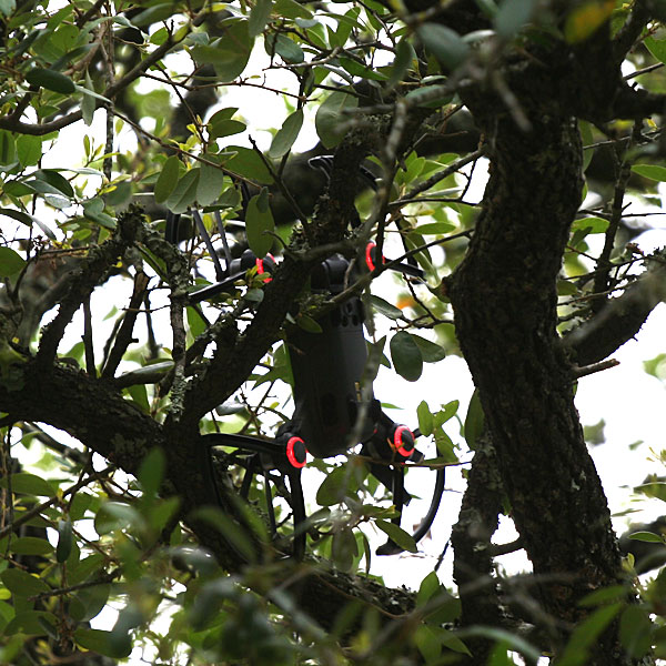 Photo - Drone trapped in tree