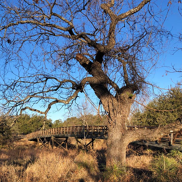 Photo - The wooden bridge over Pecan Creek between Summit Rock #14 & #15