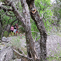 The trail winds through some semi-rugged terrain