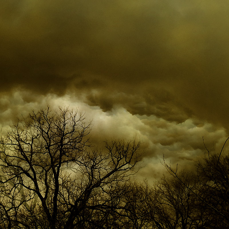 Photo - Storm clouds form a backdrop to leafless trees