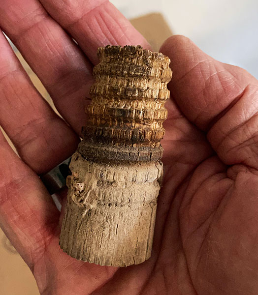 Photo - Part of a wooden pin to which an insulator was affixed