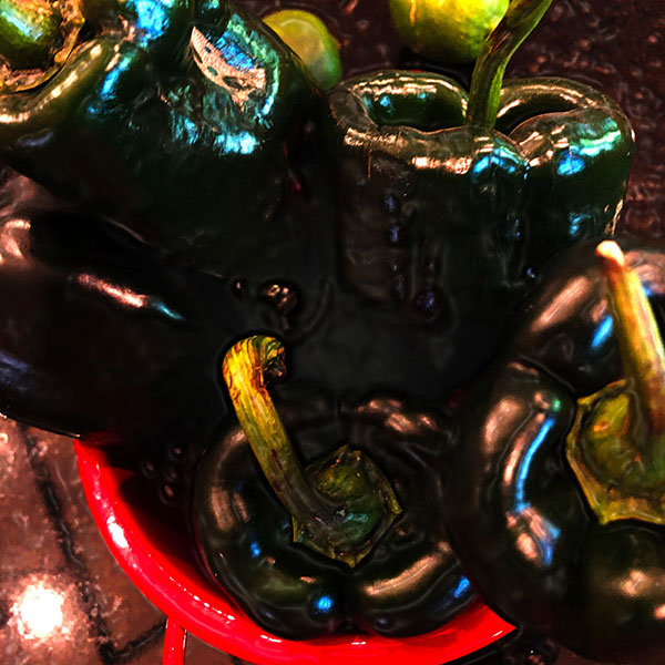 Photo - Bowl of poblano peppers