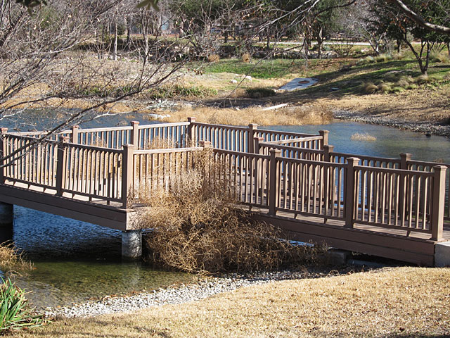 Photo - Tumbleweeds in the water stacked up against the dock