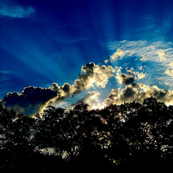 Photo of sunrise through the trees in Horseshoe Bay, Texas