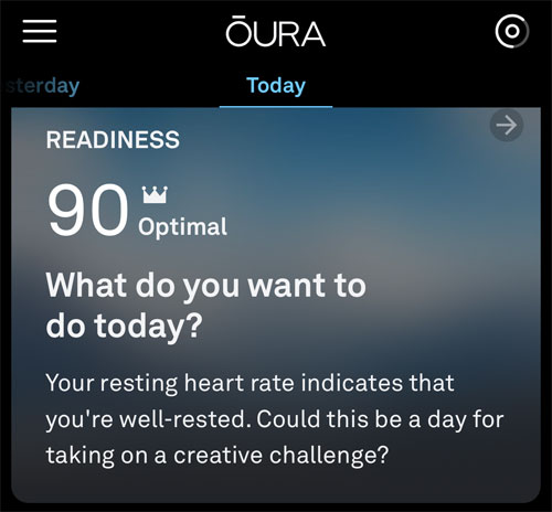 Screen capture of an Oura ring information screen