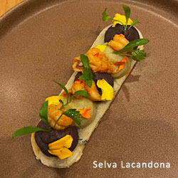 Photo - Selva Lacandona via Mixtli Restaurant