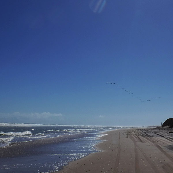 Photo - A deserted section of the Boca Chica beach