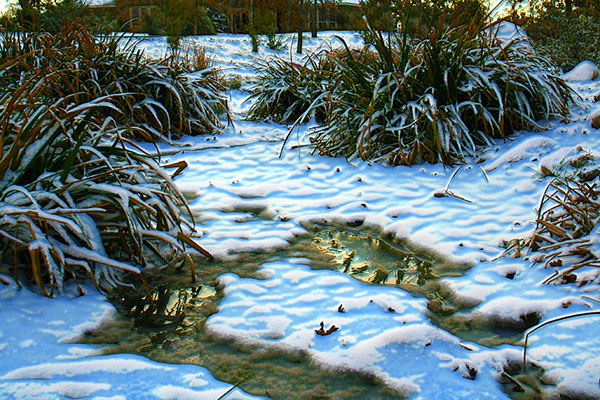 Photo - Stream of water flowing through snow