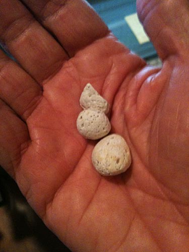 Photo - Small pebbles found in jeans pocket