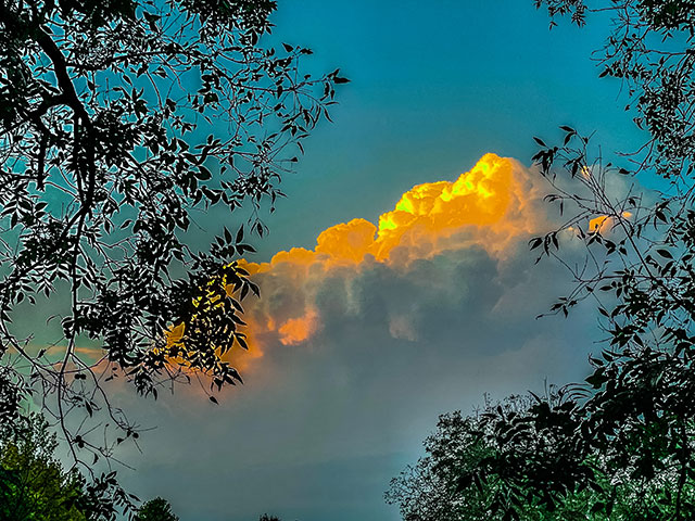 Color photo: Dark storm clouds, the tops of which are glowing in the sunset