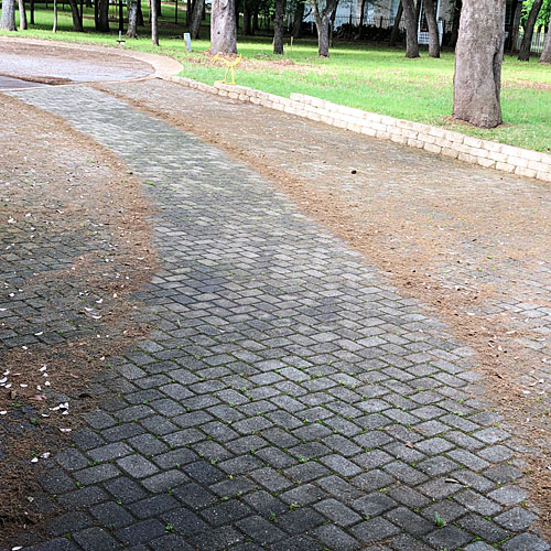 Photo - Pathway through the pollen from our garage to the street