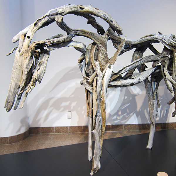 Photo: Skeletonized horse using driftwood