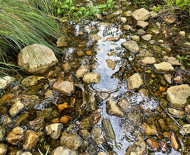 Photo: a trickle of water in Pecan Creek