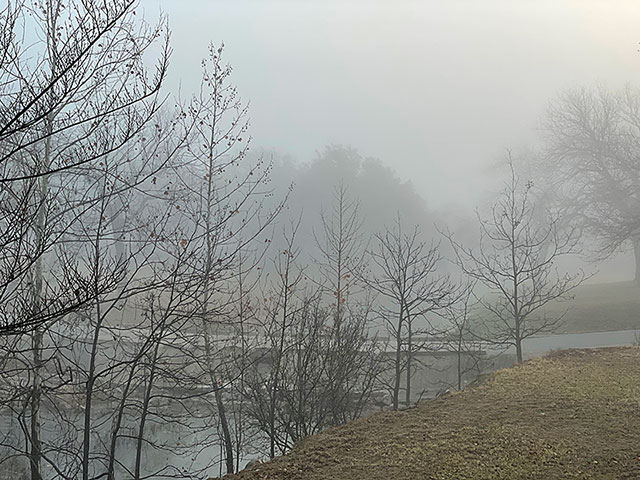 A foggy morning in Horseshoe Bay, Texas