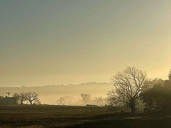 Photo: A foggy sunrise