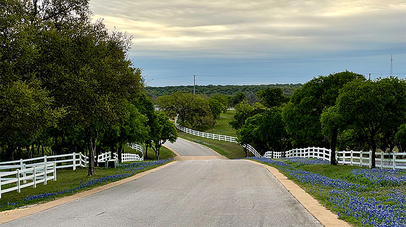 Photo: Winding road lined with bluebonnets and trees in Horseshoe Bay, Texas