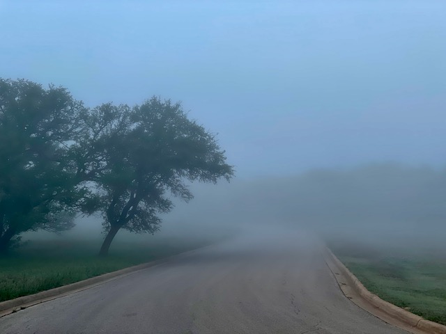 Photo: City street disappears into the fog