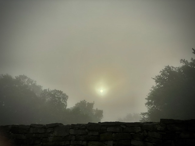 Photo: Dimly shining sun behind the thick fog