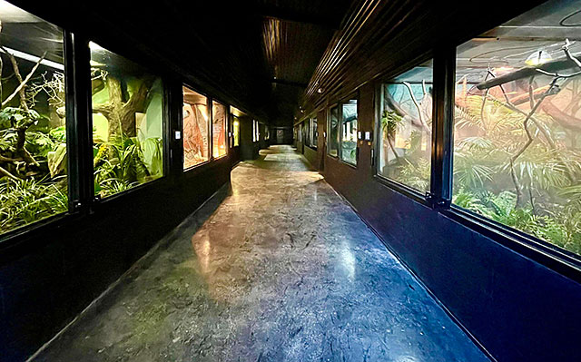 Photo: Reptilandia Exhibit Hall