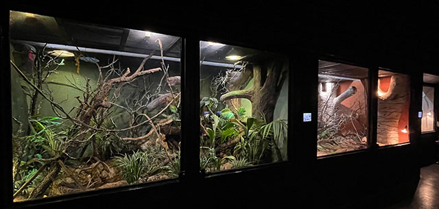 Photo: Reptilandia exhibits