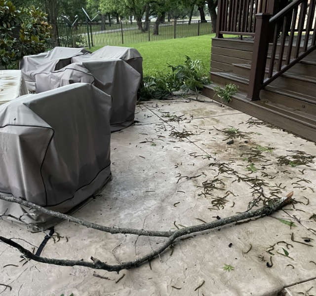 Photo - broken tree branches and fallen leaves on our back porch after a storm