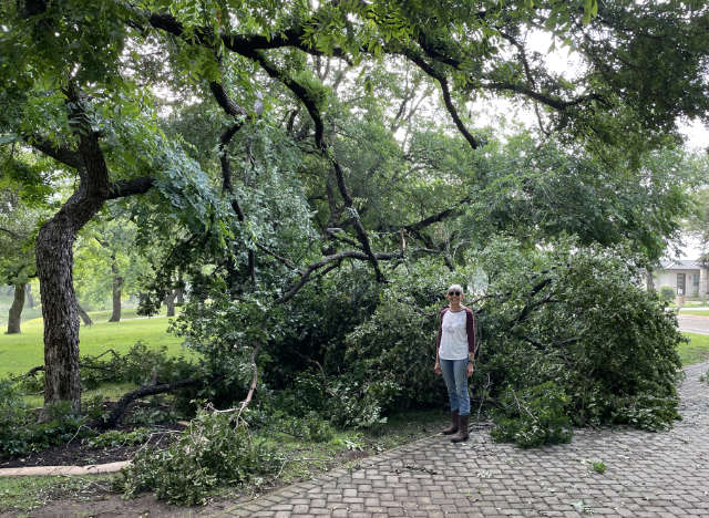 Photo: Huge pile of downed cedar elm and pecan tree limbs in our front yard