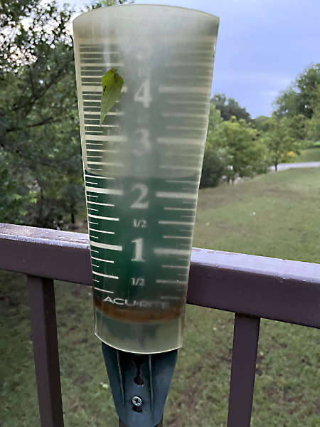 Photo: Rain gauge with 2 1/2" of water