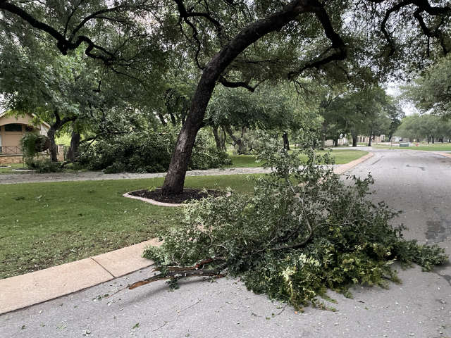 Photo: Two piles of broken cedar elm limbs in our front yard