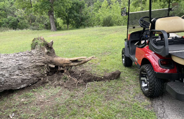 Photo: Golf cart parked next to the base of an uprooted tree